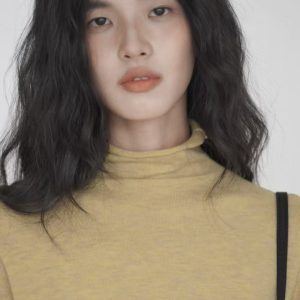 turtleneck knit base shirt