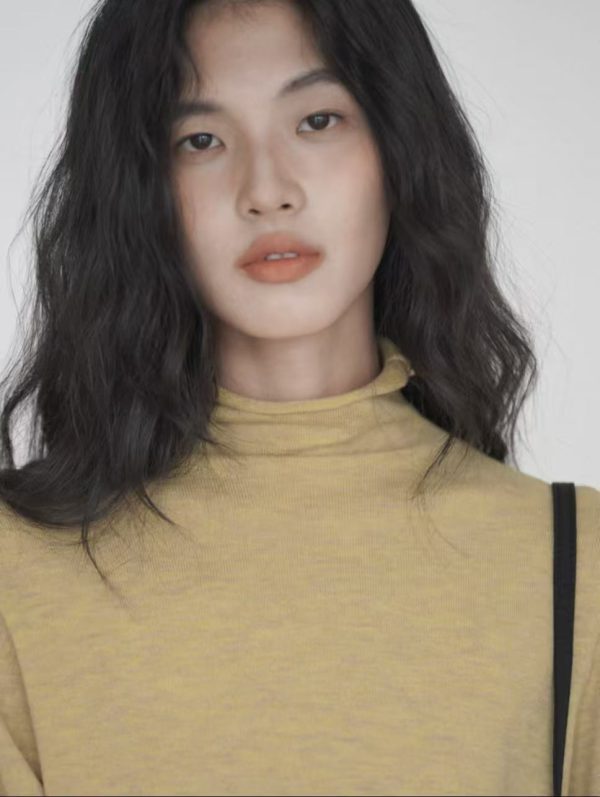 turtleneck knit base shirt
